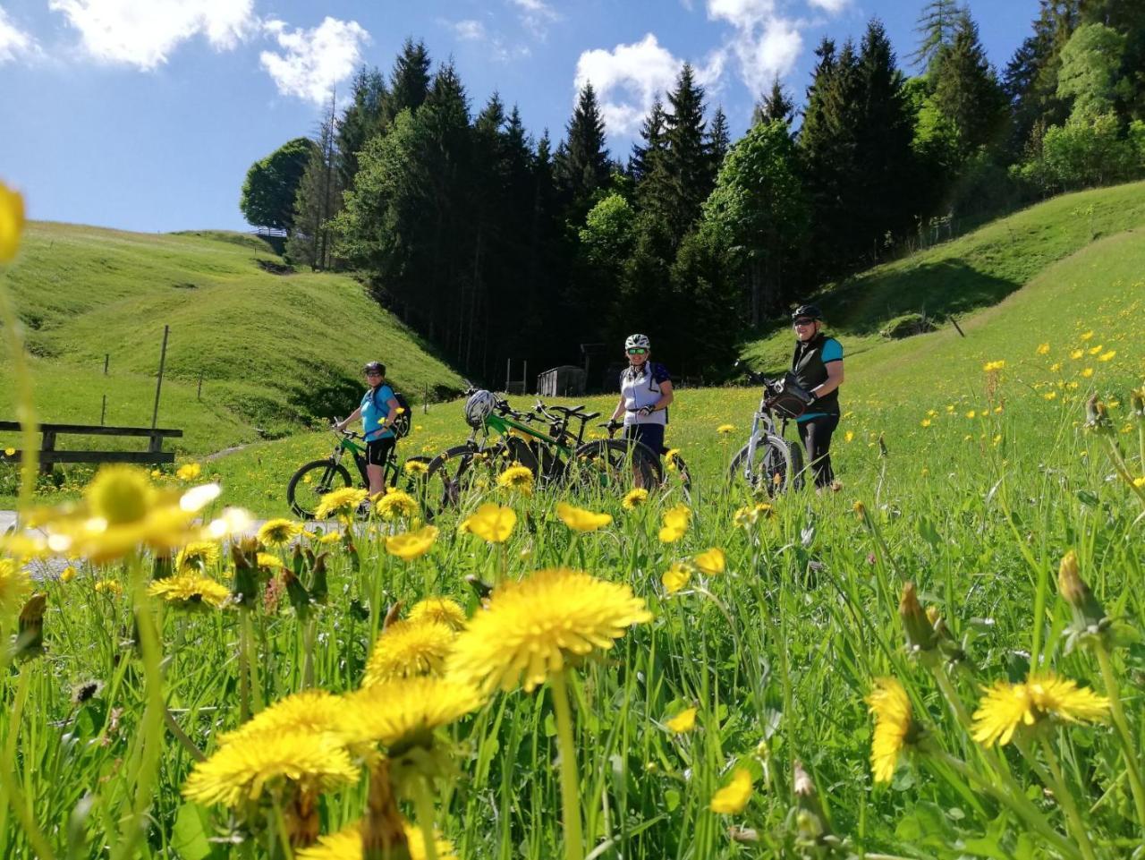 Pension Edelweiss Breitenbach am Inn Esterno foto