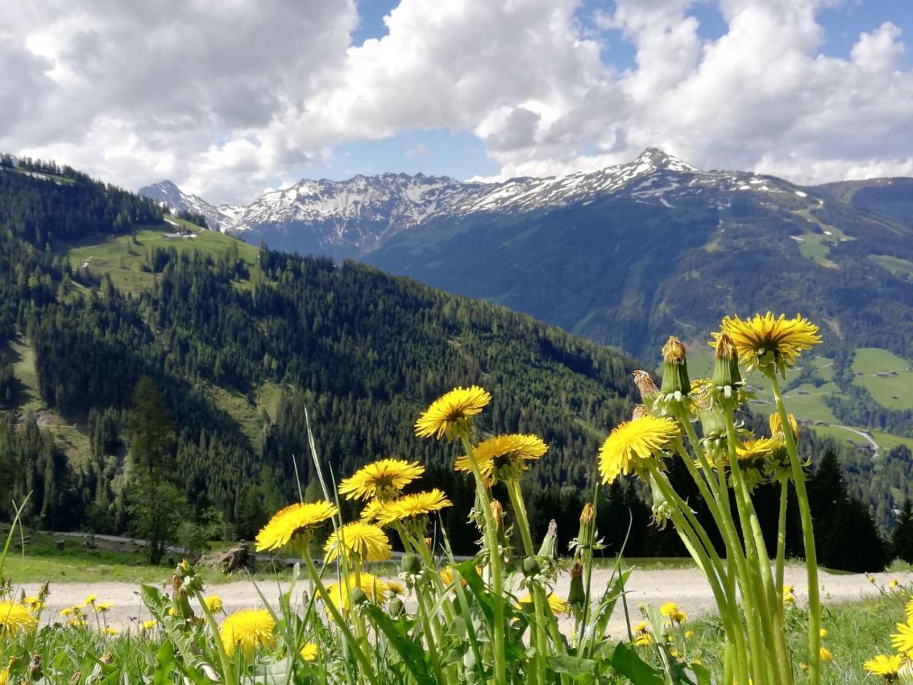 Pension Edelweiss Breitenbach am Inn Esterno foto